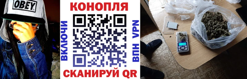 купить наркотики цена Волхов Марихуана планчик